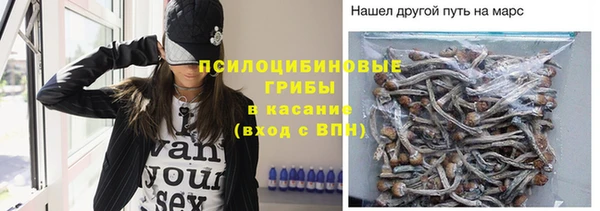 Альфа ПВП Баксан